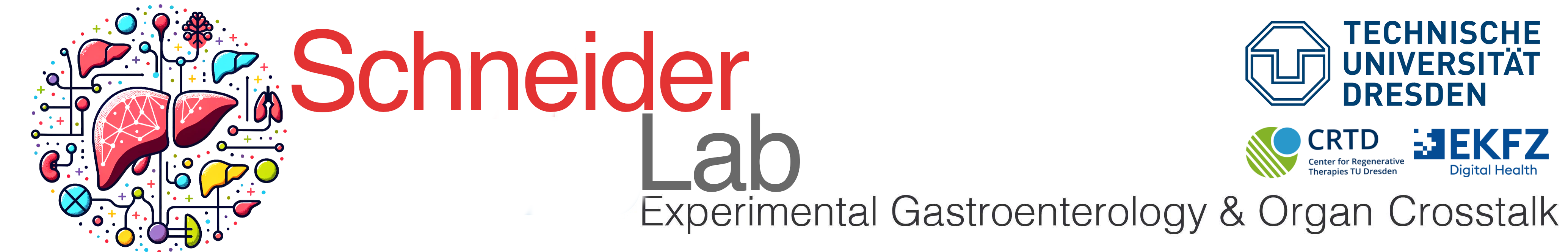 schneiderlab.de Logo